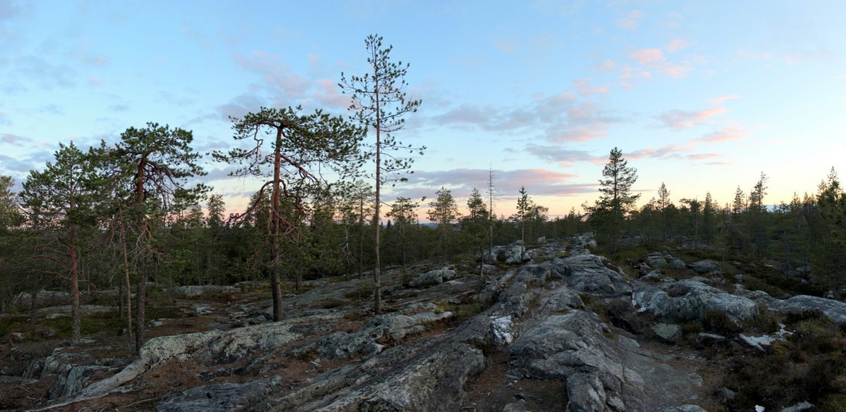 Nordpapp. Journey to the Edge of Europe. First version. Part 1 - My, Life stories, Travels, The photo, Norway, Finland, North cape, Reindeer, Deer, Locomotive, Video, Longpost