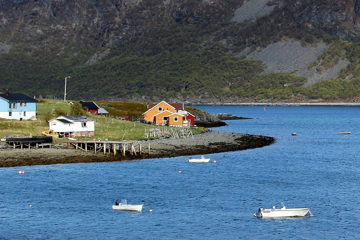 Nordpapp. Journey to the Edge of Europe. First version. Part 4 - My, Life stories, Travels, The photo, Norway, Finland, North cape, Reindeer, Deer, Video, Longpost