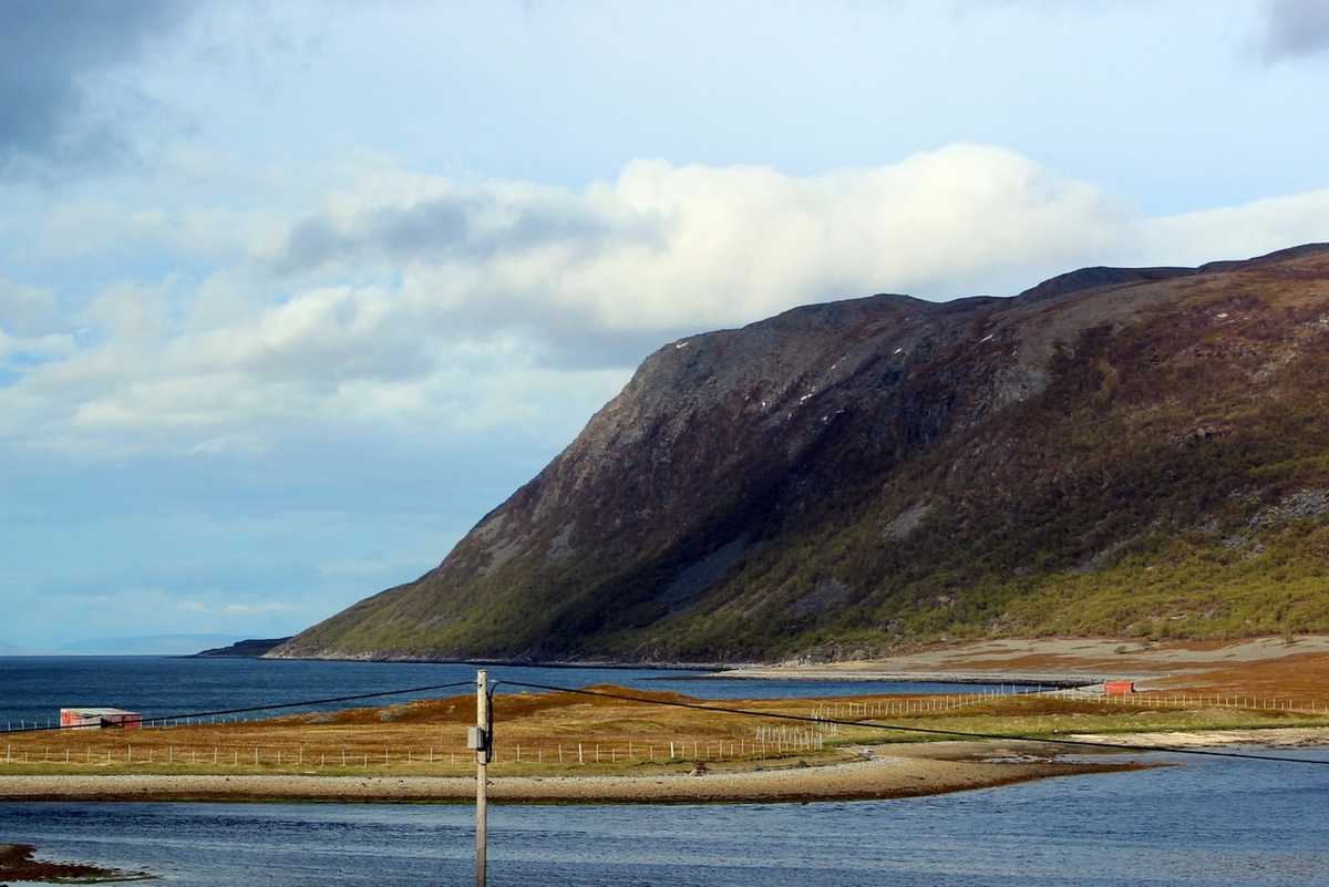 Nordpapp. Journey to the Edge of Europe. First version. Part 4 - My, Life stories, Travels, The photo, Norway, Finland, North cape, Reindeer, Deer, Video, Longpost