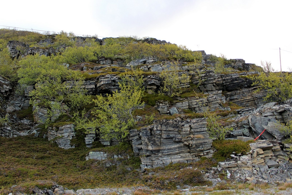 Nordpapp. Journey to the Edge of Europe. First version. Part 4 - My, Life stories, Travels, The photo, Norway, Finland, North cape, Reindeer, Deer, Video, Longpost