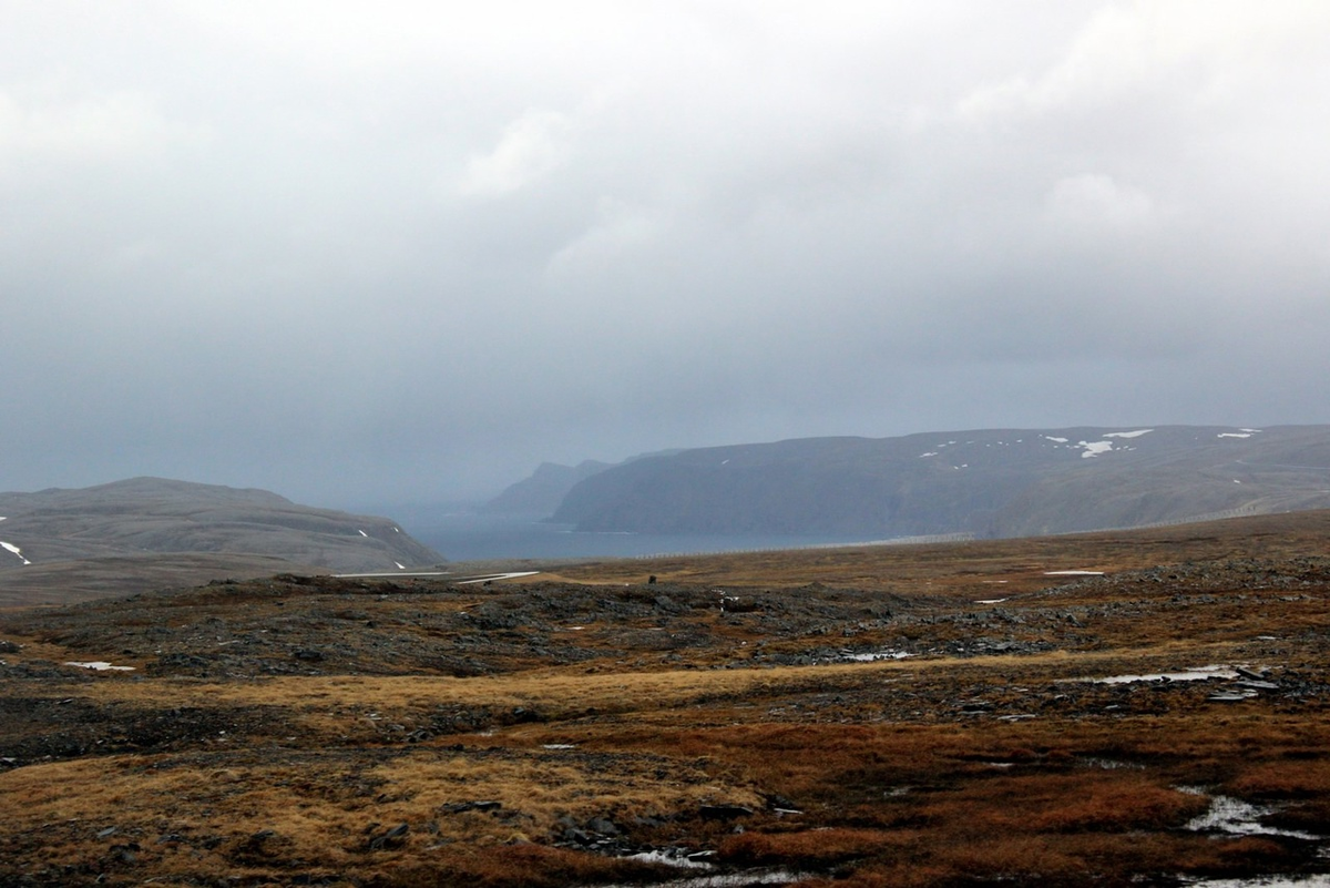 Nordpapp. Journey to the Edge of Europe. First version. Part 4 - My, Life stories, Travels, The photo, Norway, Finland, North cape, Reindeer, Deer, Video, Longpost