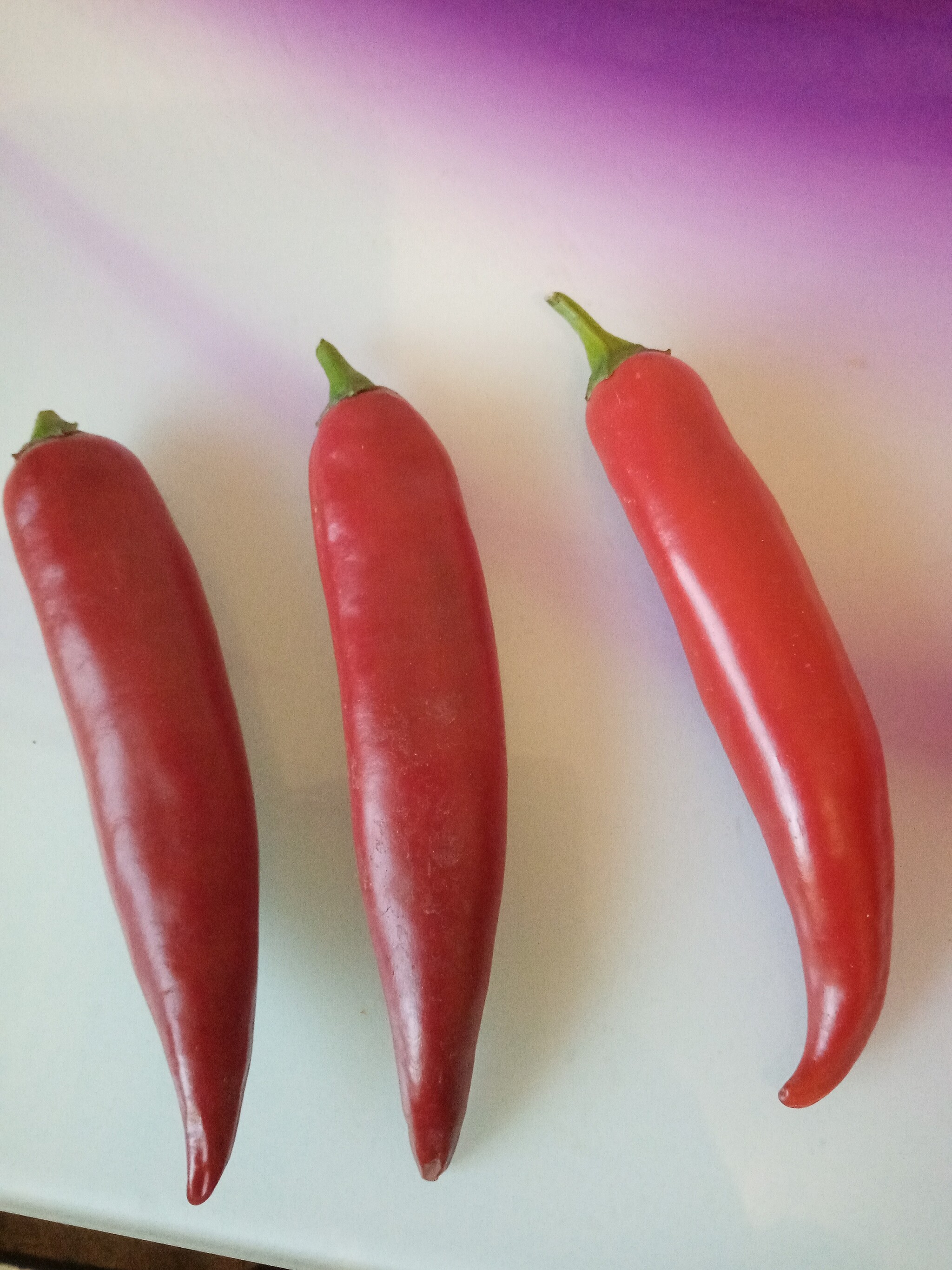 What kind is it? - My, Hot peppers, Question, Longpost