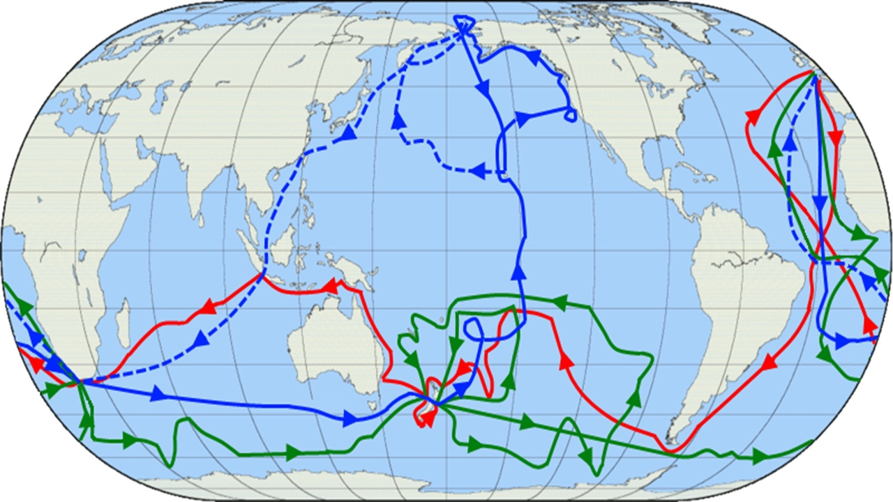 James Cook's Voyages Around the World - My, Nauchpop, Scientists, The science, Civilization, Research, Society, Critical thinking