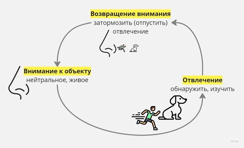 Простая и безопасная альтернатива антидепрессантам - Тревожное расстройство, Психология, Осознанность, Депрессия, Антидепрессант, Психологическая помощь, Тревога, Эмоциональное выгорание, Психотерапия, ВКонтакте (ссылка), Длиннопост