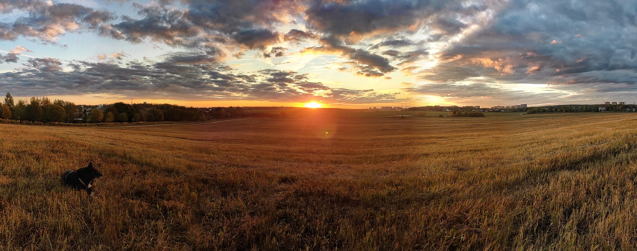 Not Chucha, but a scarecrow - My, Nature, Dog, Sunset, Landscape, Autumn, Evening, Pets, Friend, Longpost