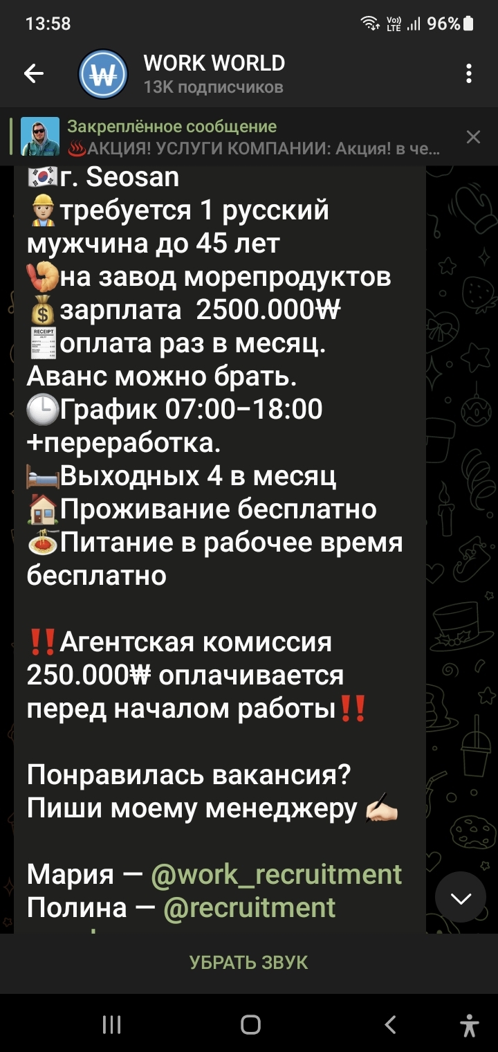 Рекрутинг в Ю. Корее - Моё, Южная Корея, Мошенничество, Рекрутинг, Длиннопост, Негатив, Скриншот