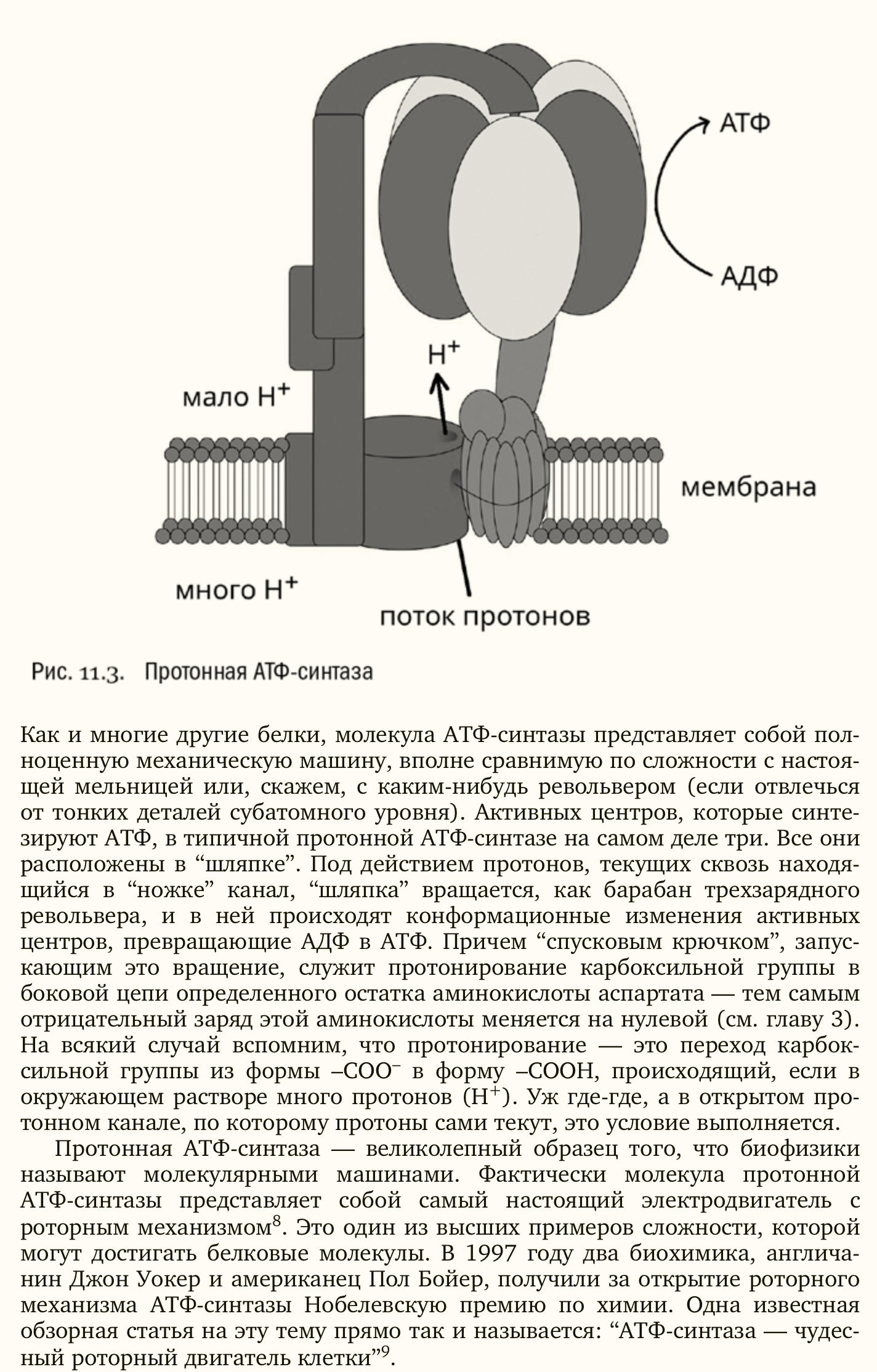 Пара тупых ответов про эволюцию - Моё, Эволюция, Глаза, Крылья, Чарльз Дарвин, Длиннопост, Теория эволюции, Волна постов