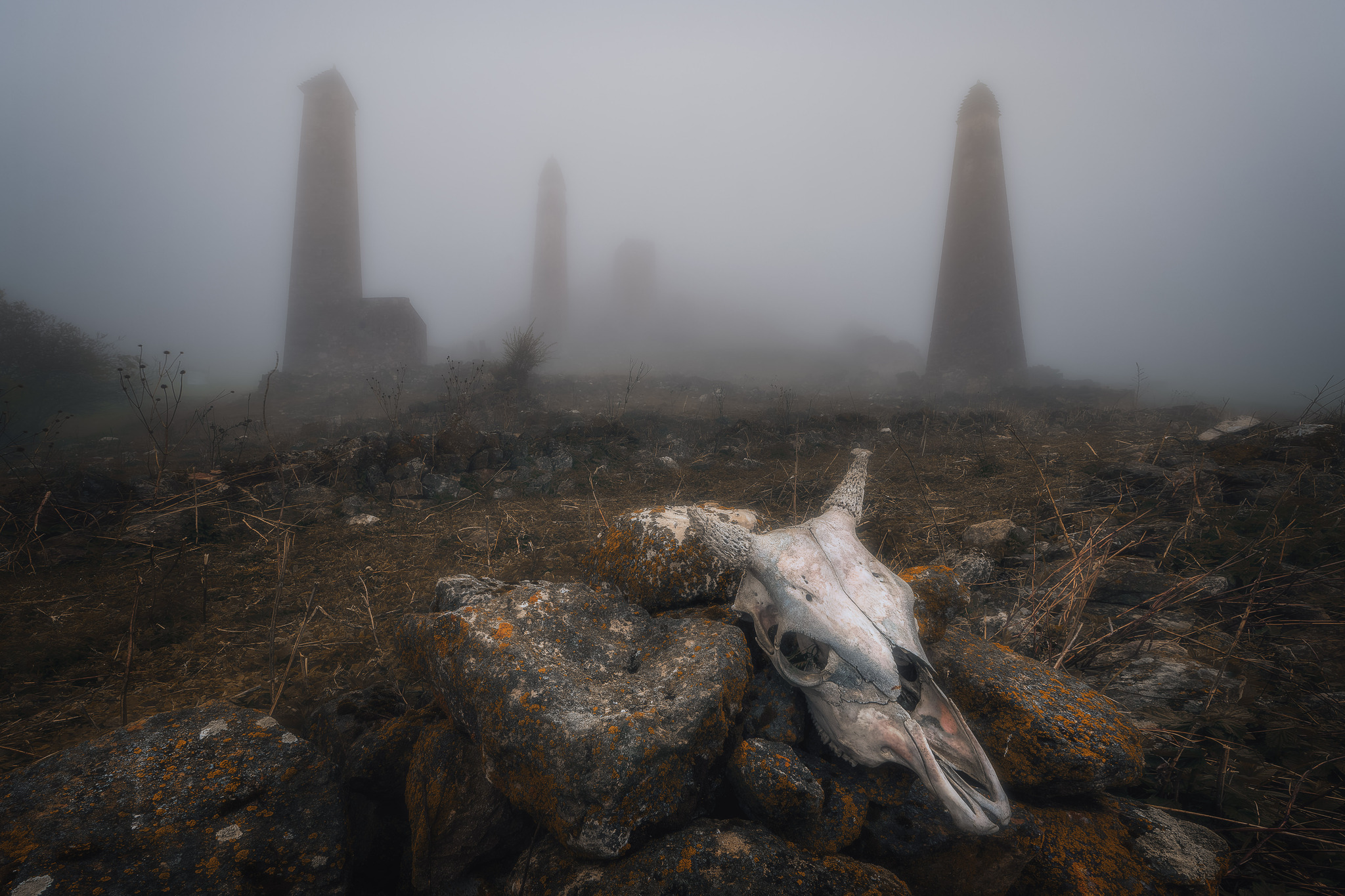 Foggy morning - My, Ingushetia, The photo, Travels, Fog