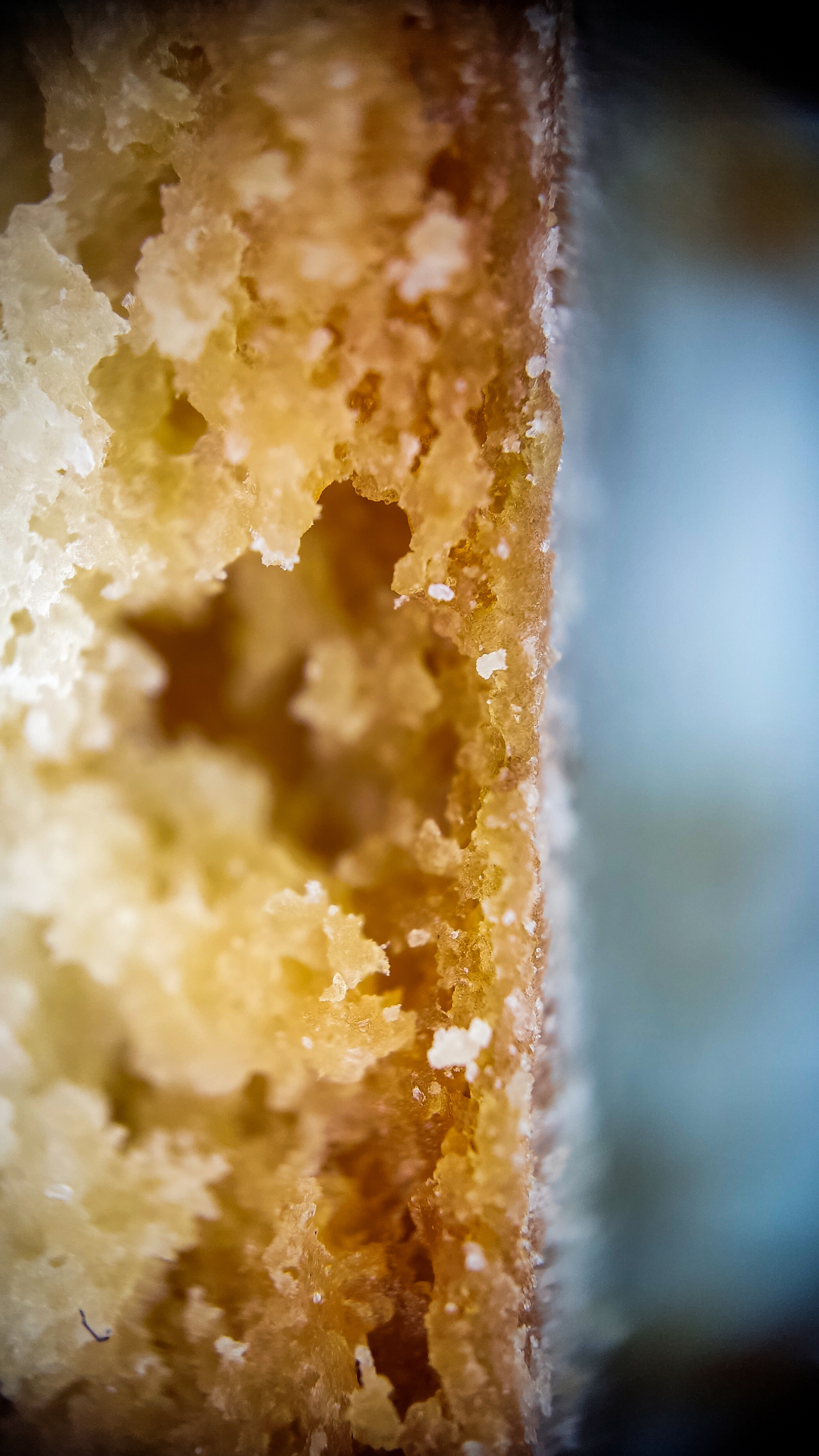 Photo project Let's take a closer look post #94. Ring with nuts - My, Sweets, Men's cooking, The photo, Macro photography, Cooking, Cookies, Yummy, Longpost