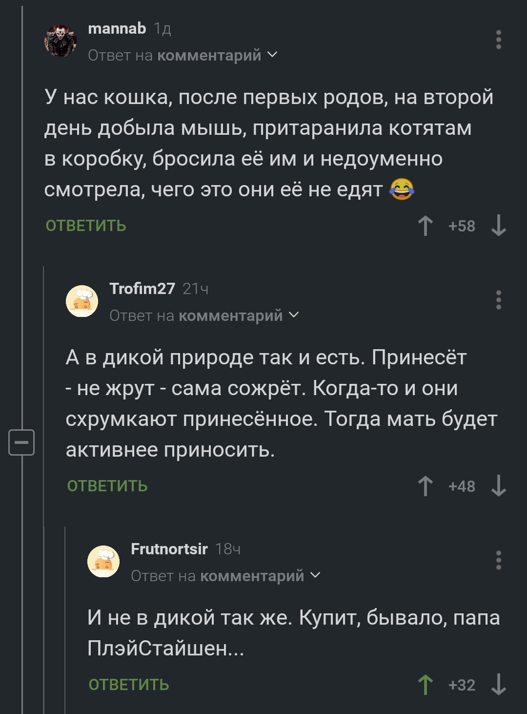 Папа в естественной среде обитания - Котята, Отец, Комментарии на Пикабу, Скриншот