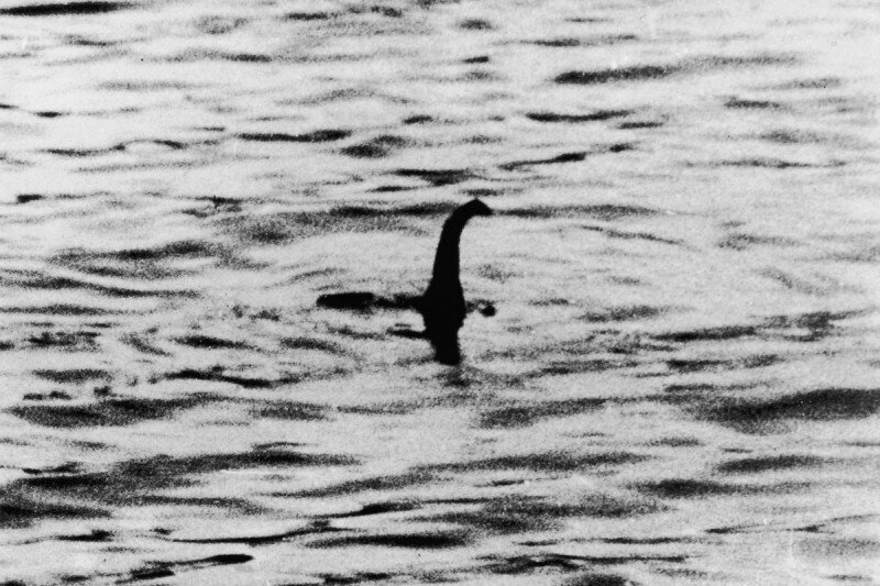 How did the Loch Ness Monster turn out to be a hippopotamus? - My, Children's magazine, Education, Loch Ness, Loch Ness monster, hippopotamus, Paleontology, Pleistocene, Longpost