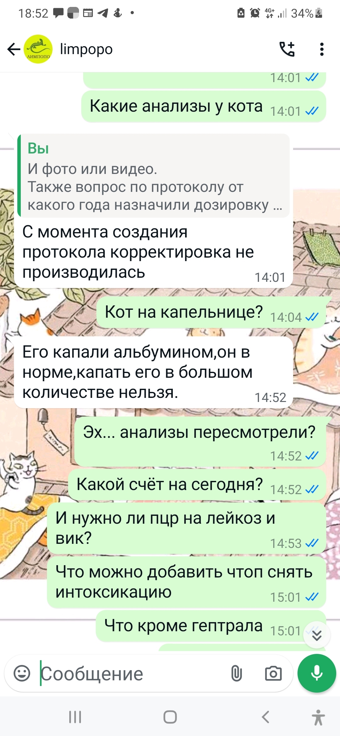 Continuation of the post Cat Fighter. Krasnoyarsk - My, Helping animals, Animal shelter, Redheads, cat, Kindness, Disease, Animal Rescue, Infectious peritonitis of cats, Medical tests, Vet clinic, Video, Soundless, Vertical video, Reply to post, Longpost, A wave of posts