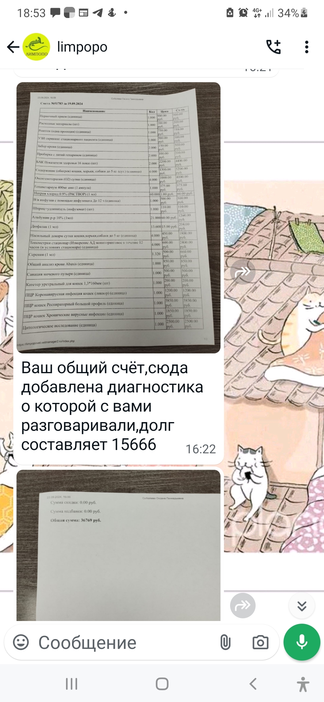 Continuation of the post Cat Fighter. Krasnoyarsk - My, Helping animals, Animal shelter, Redheads, cat, Kindness, Disease, Animal Rescue, Infectious peritonitis of cats, Medical tests, Vet clinic, Video, Soundless, Vertical video, Reply to post, Longpost, A wave of posts