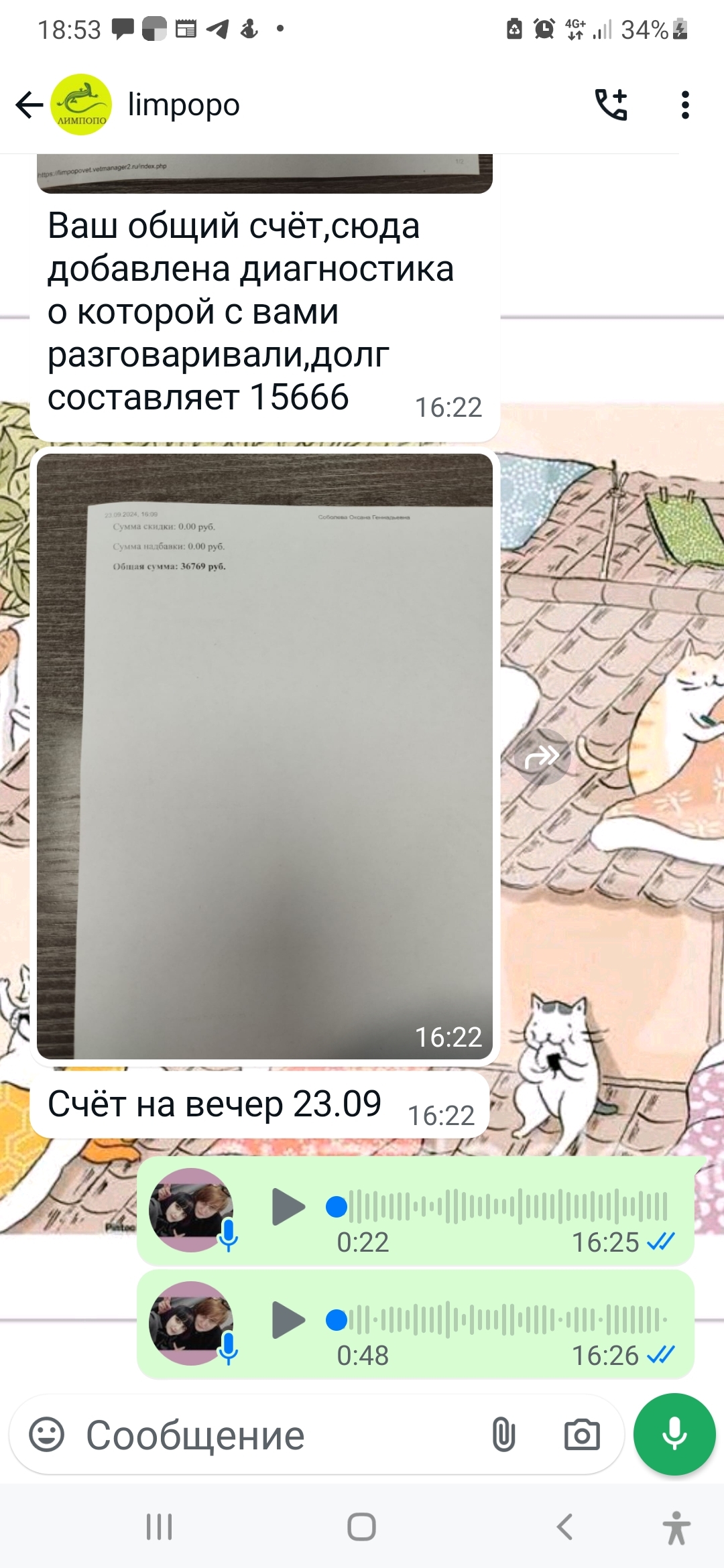 Continuation of the post Cat Fighter. Krasnoyarsk - My, Helping animals, Animal shelter, Redheads, cat, Kindness, Disease, Animal Rescue, Infectious peritonitis of cats, Medical tests, Vet clinic, Video, Soundless, Vertical video, Reply to post, Longpost, A wave of posts