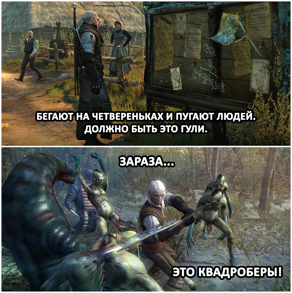 Infection... - My, Images, The photo, Screenshot, Memes, Picture with text, Books, Games, Quad Bearers, The Witcher 1, The Witcher 3: Wild Hunt, Geralt of Rivia