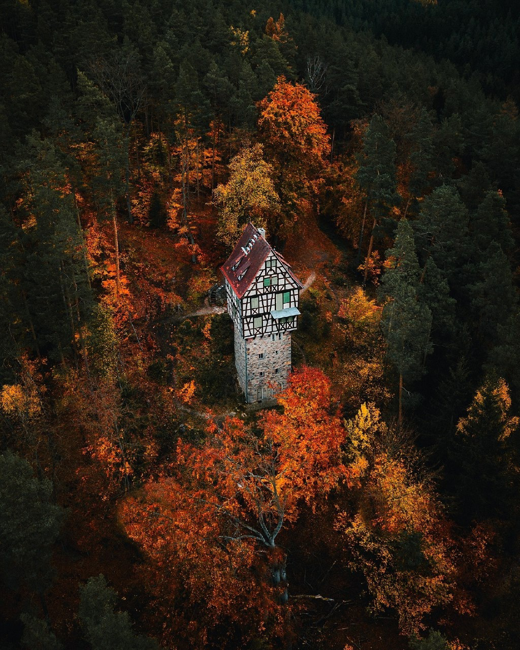 Imagine living in a house like this - House, Forest, Longpost