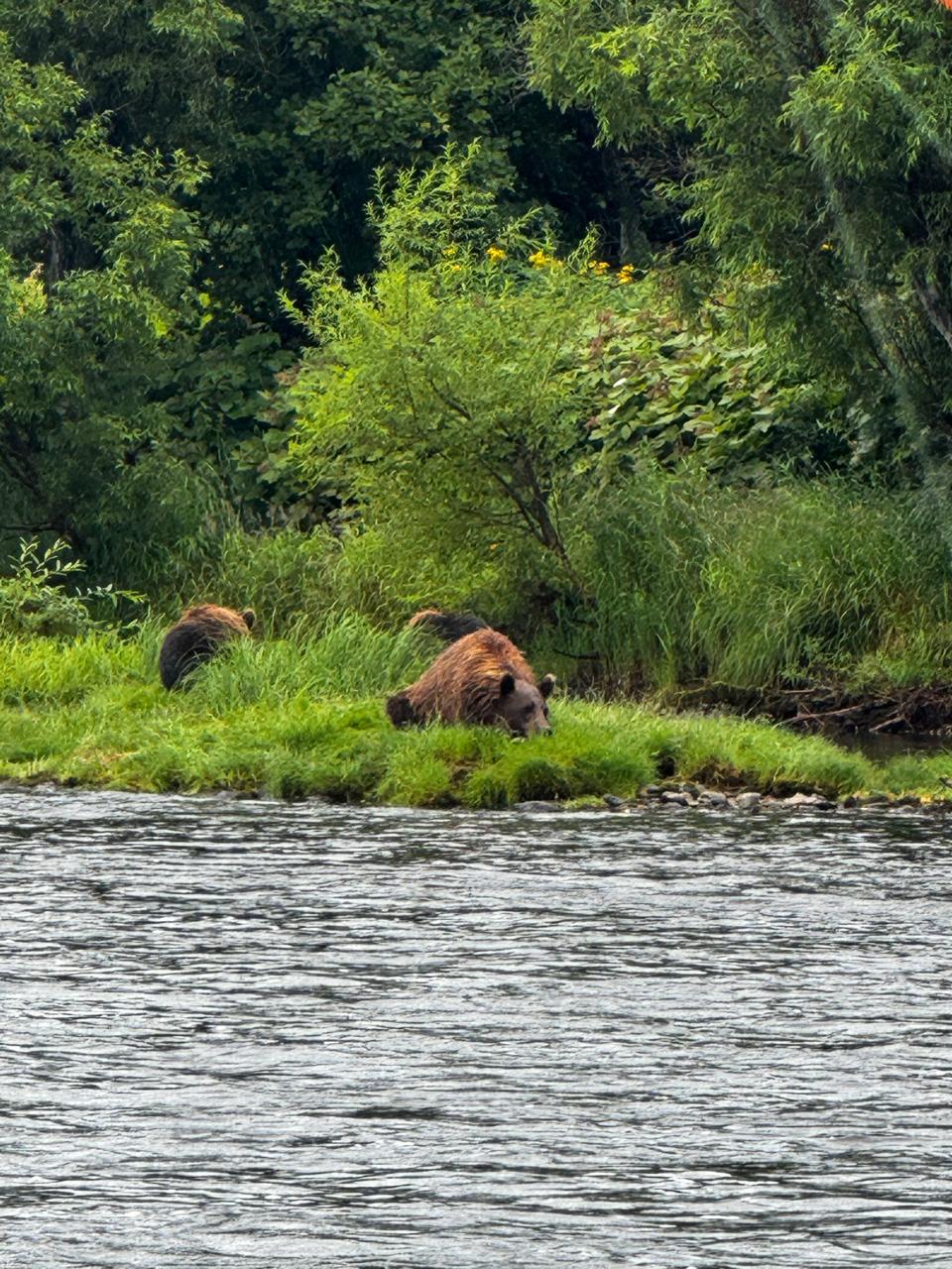 So the summer has flown by and is left behind... - Kamchatka, River rafting, The photo, Longpost