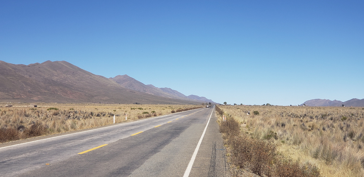 How I was bitten by a dog in Bolivia. A story from the life of a cyclist - My, Bike trip, Solo travel, Travels, Страшные истории, Fight for survival, Bolivia, The mountains, South America, A bike, Andes, Road, Aggression, Dog, Dog bite, Cyclist, Bike ride, Longpost