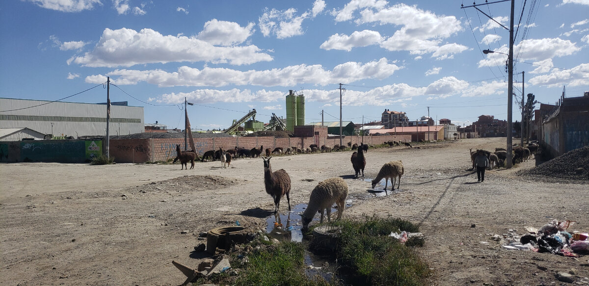 Solo Cycling Expedition in South America. Part 4 Bolivia. Chapter 130. El Tolar - My, Bike trip, Solo travel, A bike, Travels, South America, The mountains, Road, Andes, Cyclist, Bike ride, Bolivia, Longpost, The photo