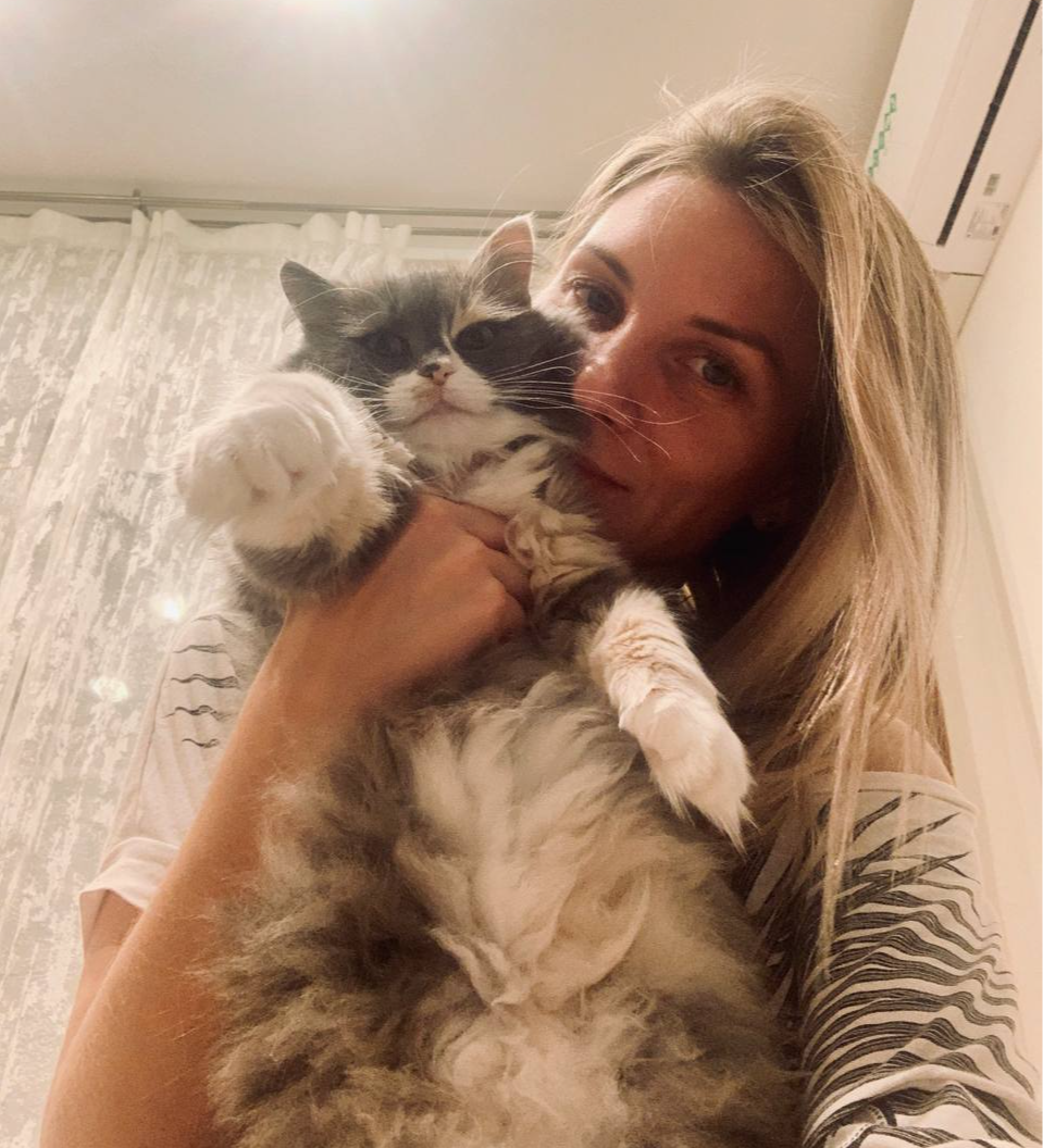 The story of Mishka the cat and her human - No rating, Moscow region, Volunteering, Helping animals, cat, Tricolor cat, Black cat, Homeless animals, The strength of the Peekaboo, Kindness, Good league, Video, Vertical video, Longpost