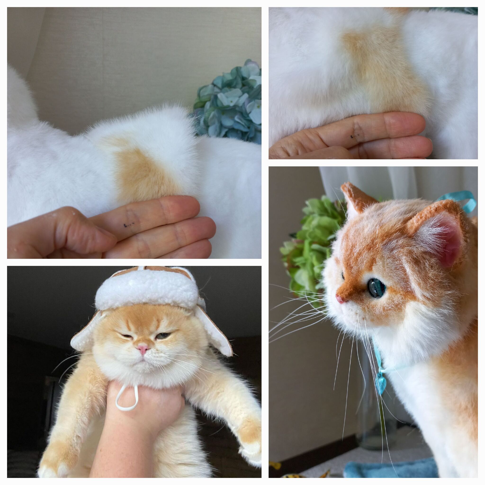 Golden cat or ginger? The process - My, Author's toy, Milota, Small cats, British Golden Chinchilla, Video, Youtube, Soundless, Vertical video, Longpost