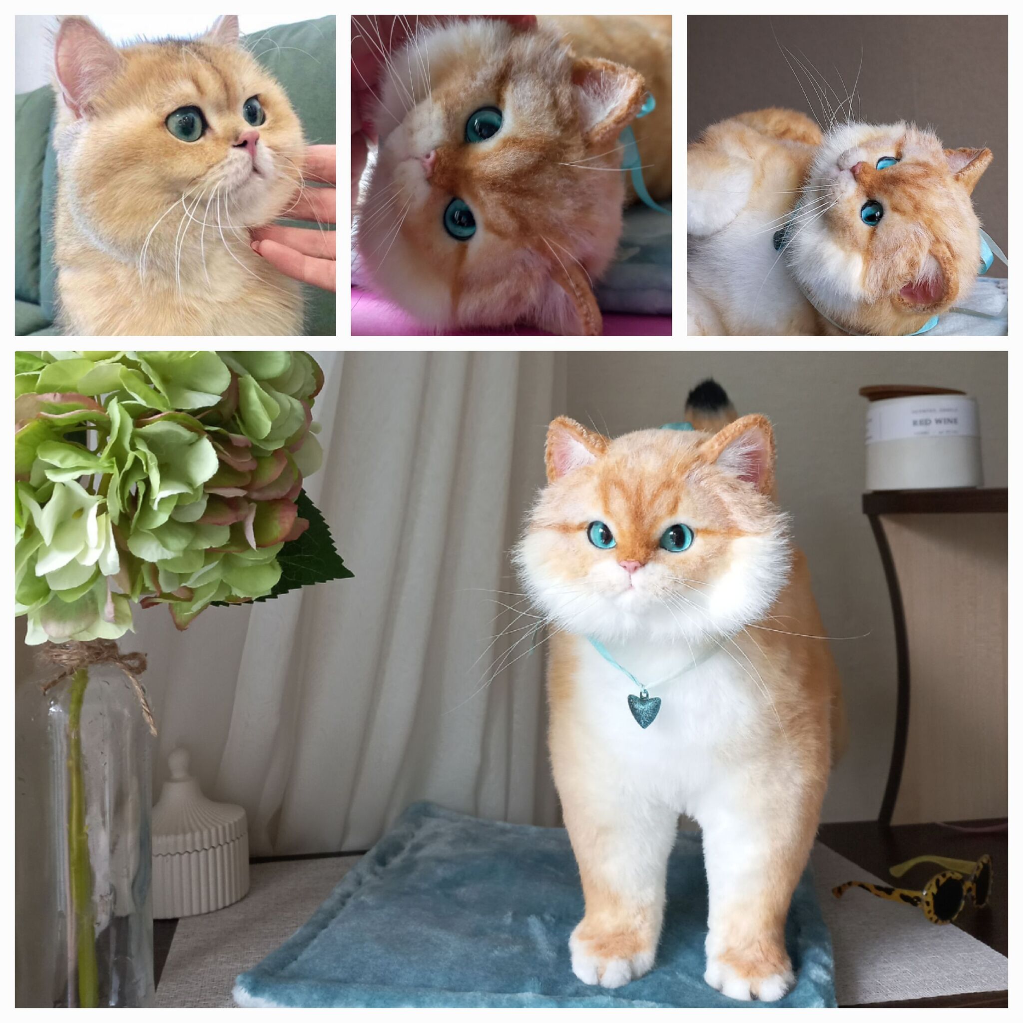 Golden cat or ginger? The process - My, Author's toy, Milota, Small cats, British Golden Chinchilla, Video, Youtube, Soundless, Vertical video, Longpost