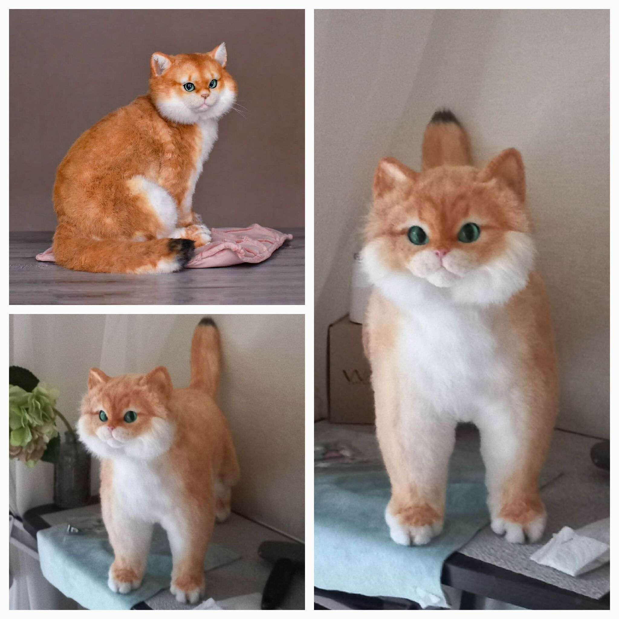 Golden cat or ginger? The process - My, Author's toy, Milota, Small cats, British Golden Chinchilla, Video, Youtube, Soundless, Vertical video, Longpost