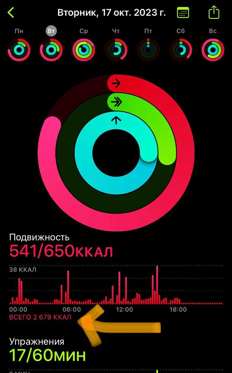 How I decided to burn 10 thousand calories per day. Part 1 - My, Life stories, Slimming, Video, Vertical video, Mat, Longpost