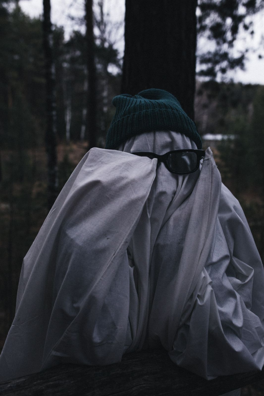 To have a Halloween photoshoot or not to have one? - My, Halloween costume, Halloween, PHOTOSESSION, Professional shooting, Fashion model, The photo, Girls, Forest, Walk in the woods, Question, Ask Peekaboo, Longpost