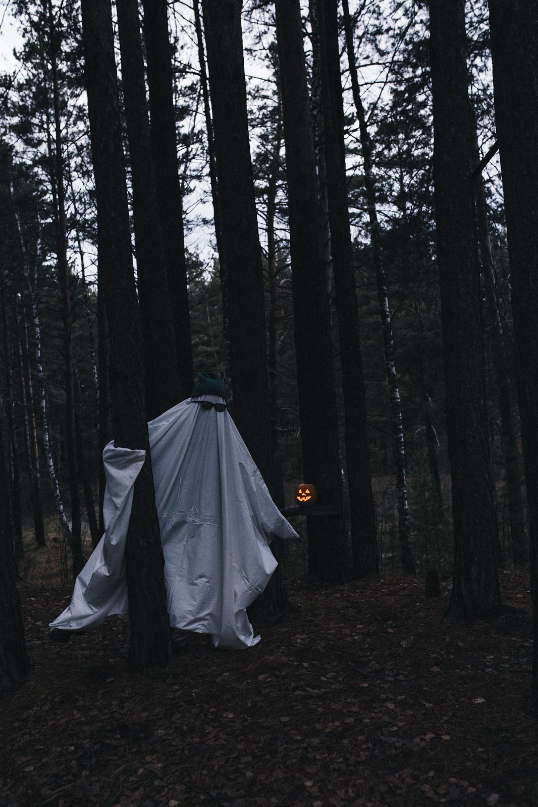 To have a Halloween photoshoot or not to have one? - My, Halloween costume, Halloween, PHOTOSESSION, Professional shooting, Fashion model, The photo, Girls, Forest, Walk in the woods, Question, Ask Peekaboo, Longpost