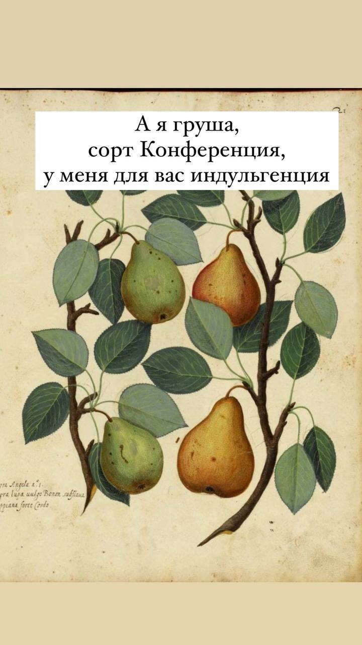 Vegetables and fruits - Humor, Suffering middle ages, Picture with text, Vegetables, Фрукты, Longpost