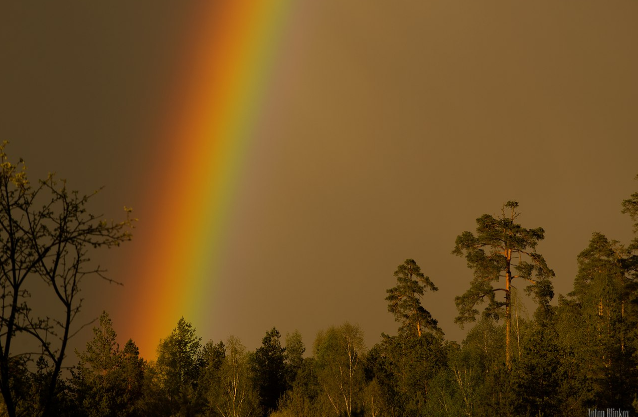 Rainbow - Rainbow, The photo