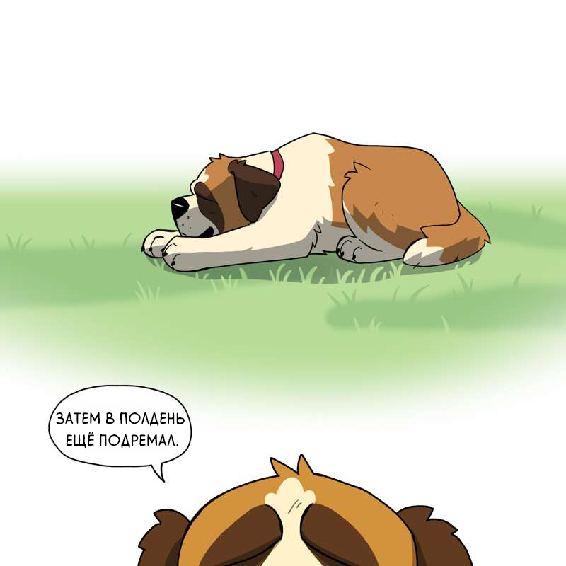 Everyday life of St. Bernards - Comics, Pet foolery, Brutus and Pixie, Longpost