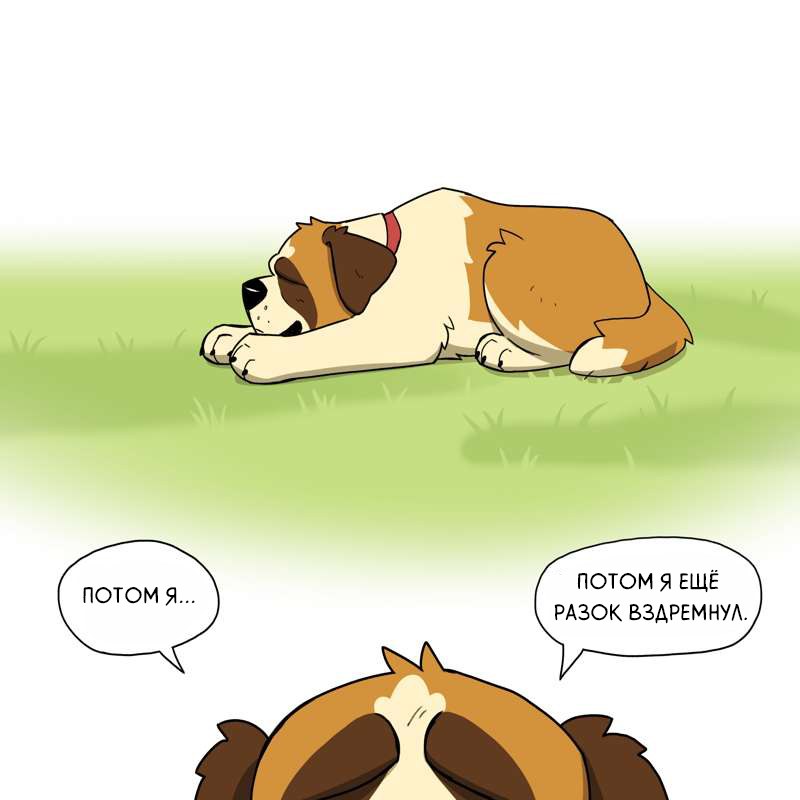 Everyday life of St. Bernards - Comics, Pet foolery, Brutus and Pixie, Longpost