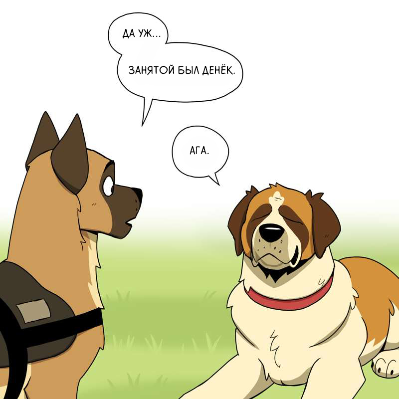 Everyday life of St. Bernards - Comics, Pet foolery, Brutus and Pixie, Longpost