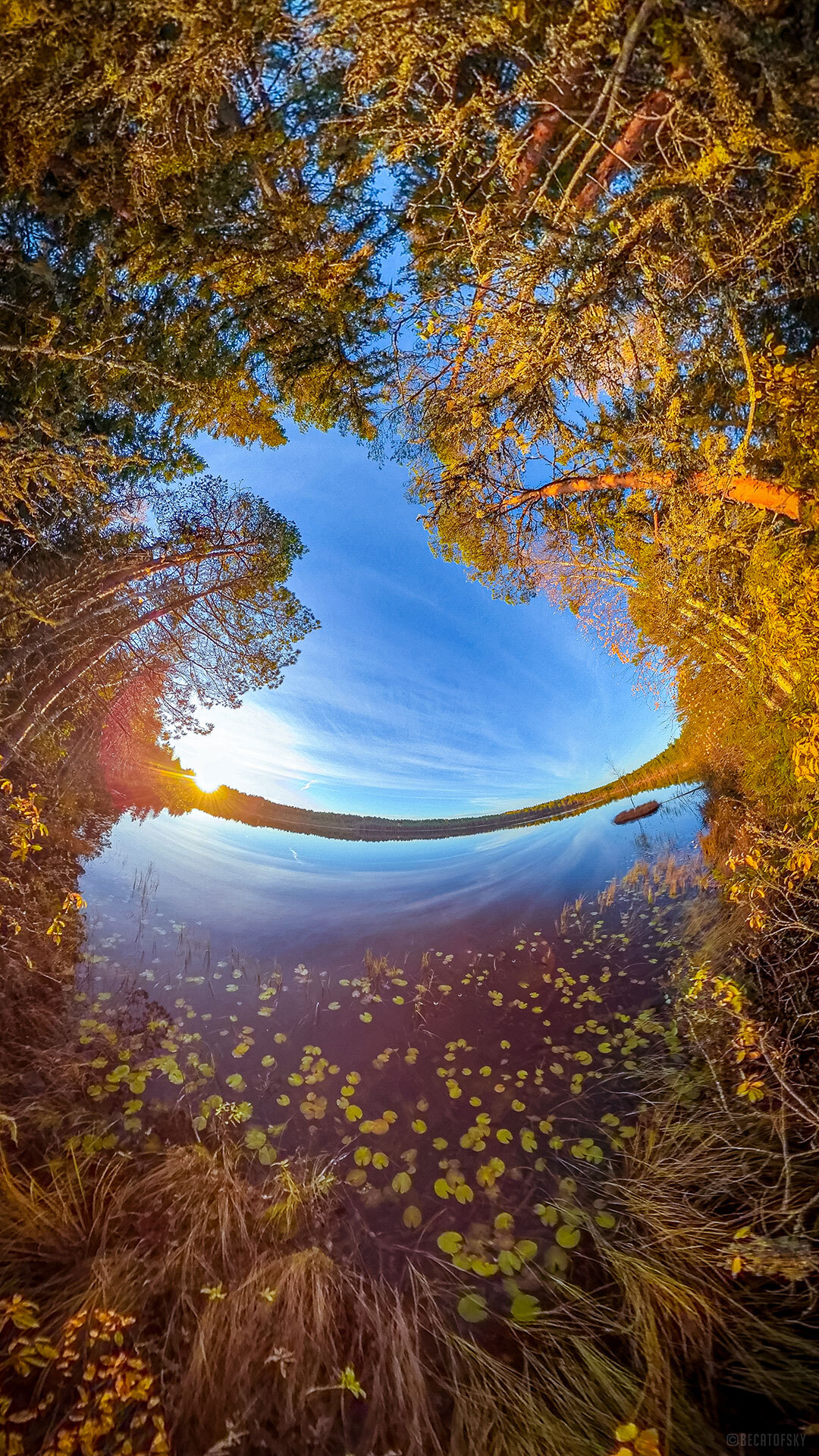 Autumn landscape - My, The photo, Vologda, Nature, Lake, Forest, Spherical panorama, Panoramic shooting, Autumn, Beautiful view, September, Longpost