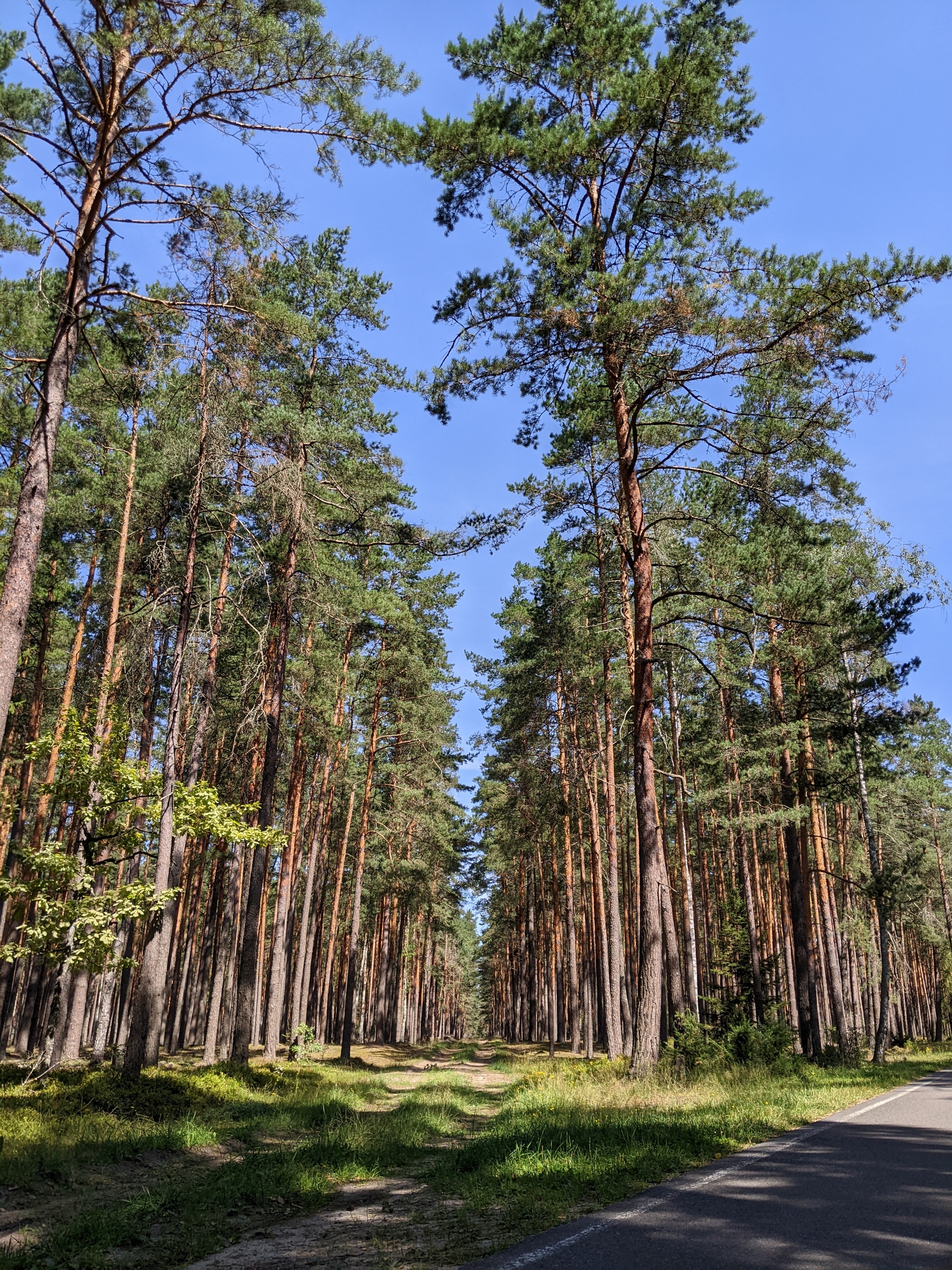 Response to the post Where did the wave about beautiful Belarus come from? - Republic of Belarus, Travels, Migration, Relocation, Opinion, Advice, Text, Personal experience, Reply to post, Longpost