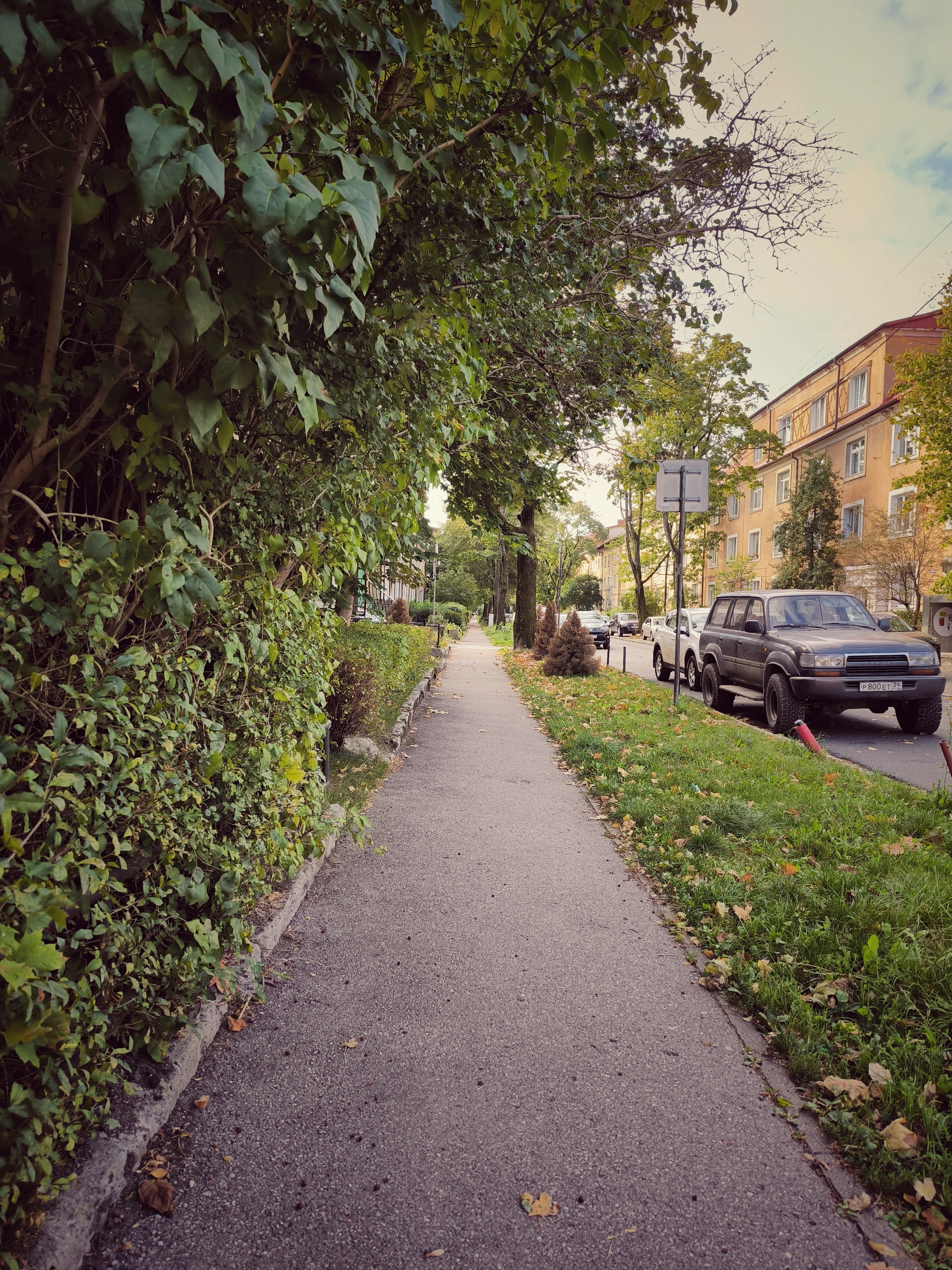 A typical afternoon in Kaliningrad - My, Kaliningrad, Kaliningrad region, Street photography, City walk, Architecture, Autumn, Building, Cities of Russia, Mobile photography