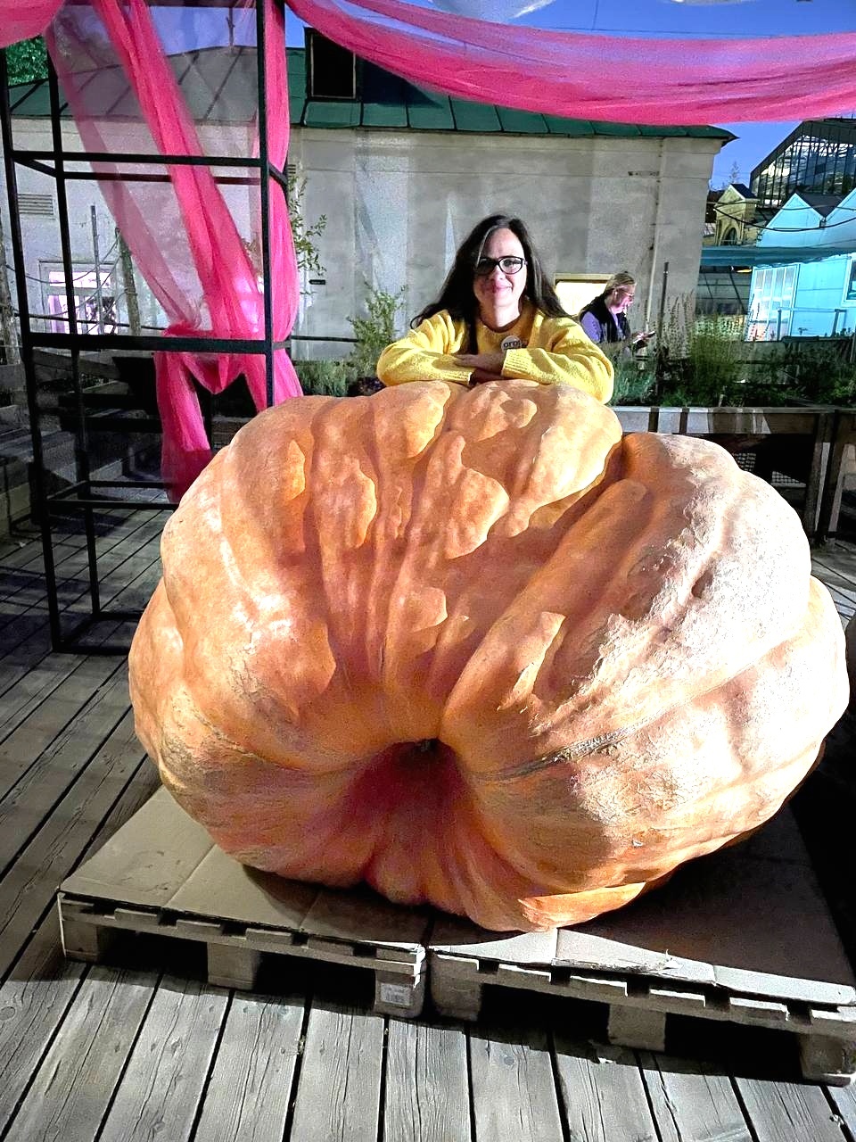 Meeting of the Century. Giant Vegetables and Those Who Grew Them - My, Vegetables, Garden, Giants, Giant pumpkin, Zucchini, Gigantomania, Gardening, Dacha, Dream, Video, Longpost