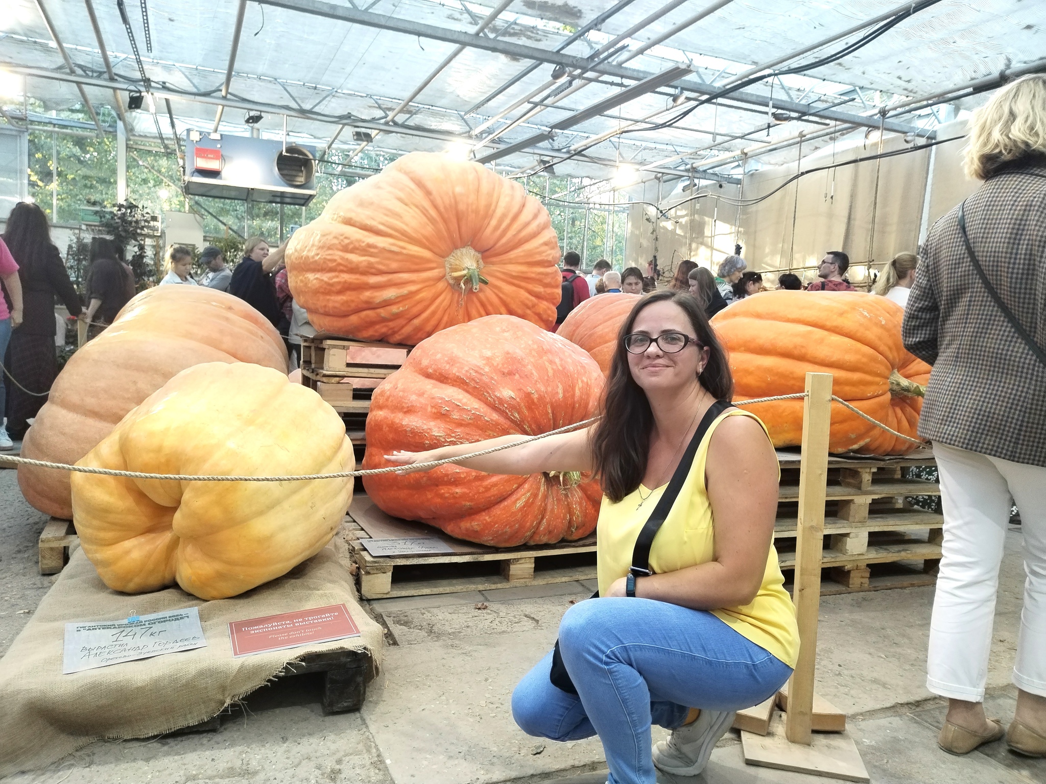 Meeting of the Century. Giant Vegetables and Those Who Grew Them - My, Vegetables, Garden, Giants, Giant pumpkin, Zucchini, Gigantomania, Gardening, Dacha, Dream, Video, Longpost