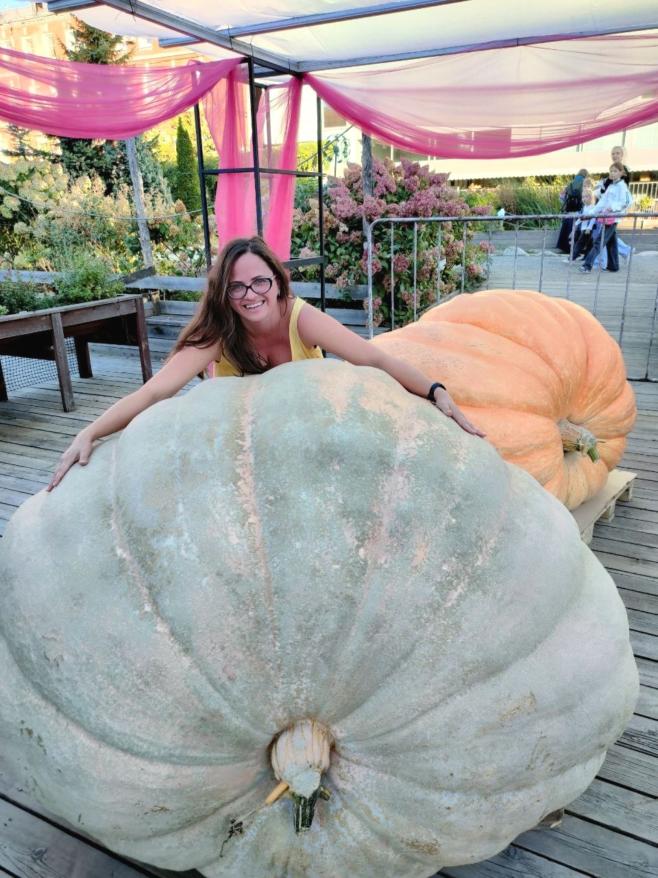 Meeting of the Century. Giant Vegetables and Those Who Grew Them - My, Vegetables, Garden, Giants, Giant pumpkin, Zucchini, Gigantomania, Gardening, Dacha, Dream, Video, Longpost