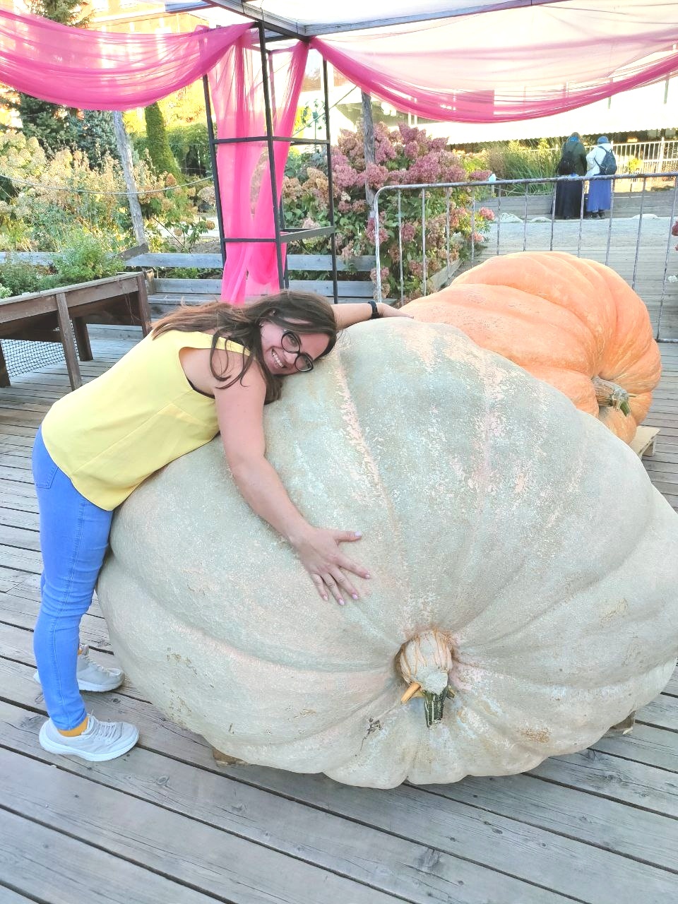 Meeting of the Century. Giant Vegetables and Those Who Grew Them - My, Vegetables, Garden, Giants, Giant pumpkin, Zucchini, Gigantomania, Gardening, Dacha, Dream, Video, Longpost