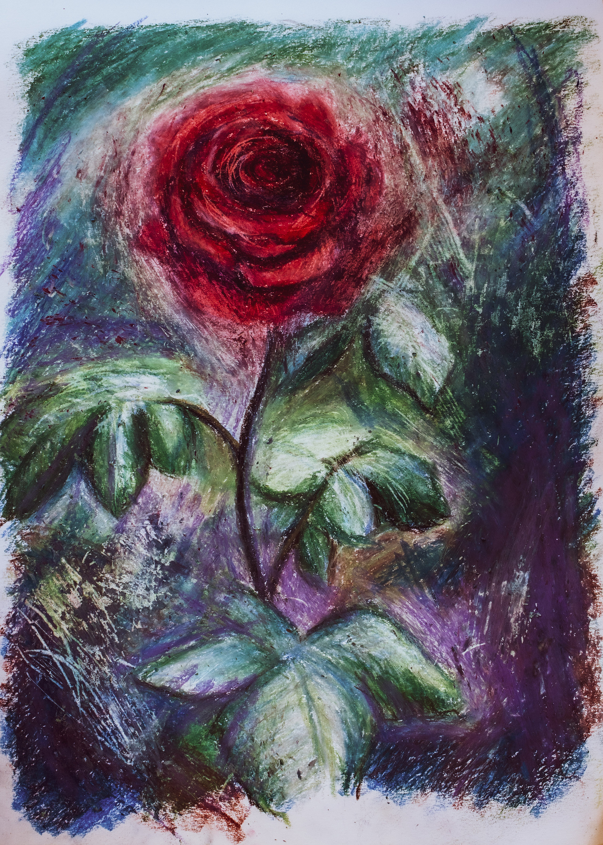 Rose, oil pastel - My, Images, Drawing, Painting, Traditional art, Art, Oil pastel, Pastel, Still life, Flowers, the Rose