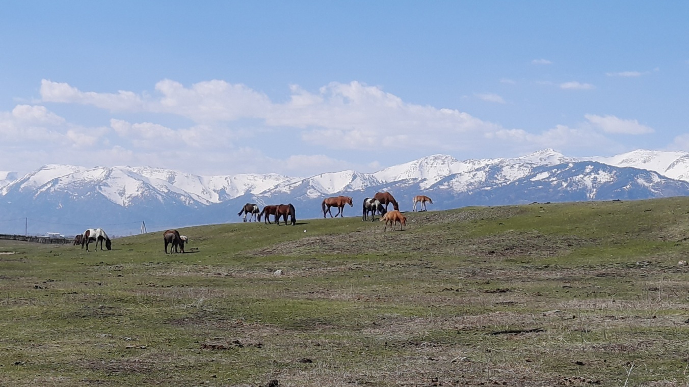 Uimon Valley, Altai - My, Altai Republic, Landscape, The photo, Longpost