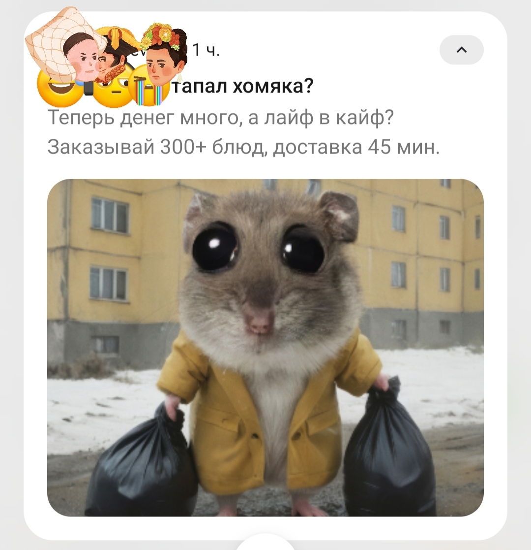 Почему хомяк такой???? - Хомяк, Игры, Юмор, Доставка