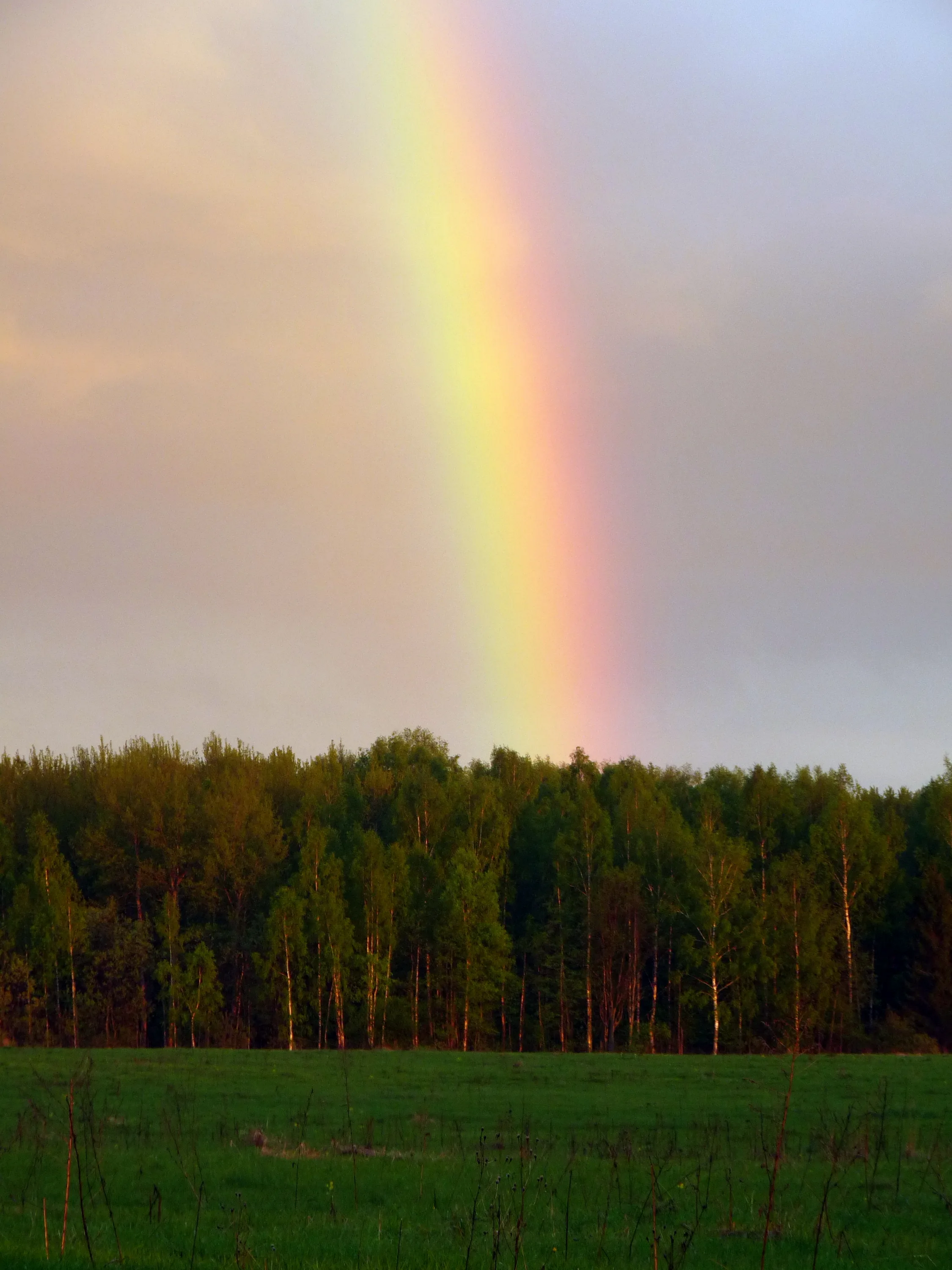 Rainbow - Rainbow, The photo