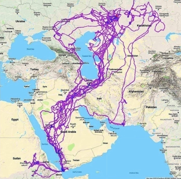 Tracking eagle movements for 20 years via GPS - Humor, Memes, Picture with text, Alcoholism, Screenshot, Cards, Route