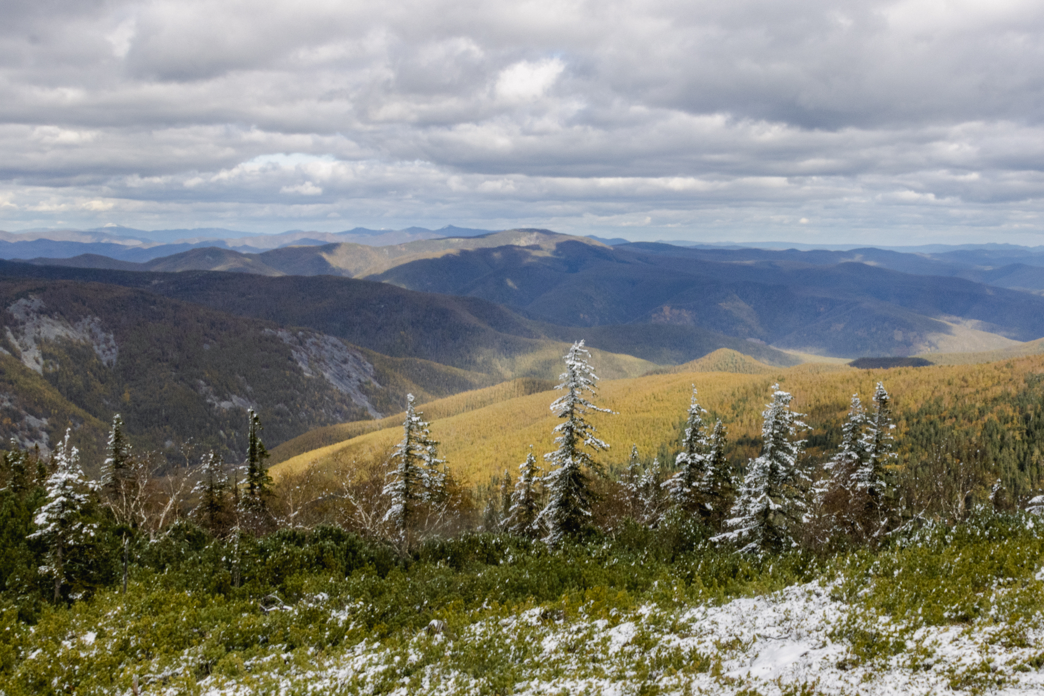 Mount Taunga - My, Дальний Восток, Nature, Landscape, Mountain tourism, The photo, Beautiful view, Khabarovsk, Khabarovsk region, Longpost