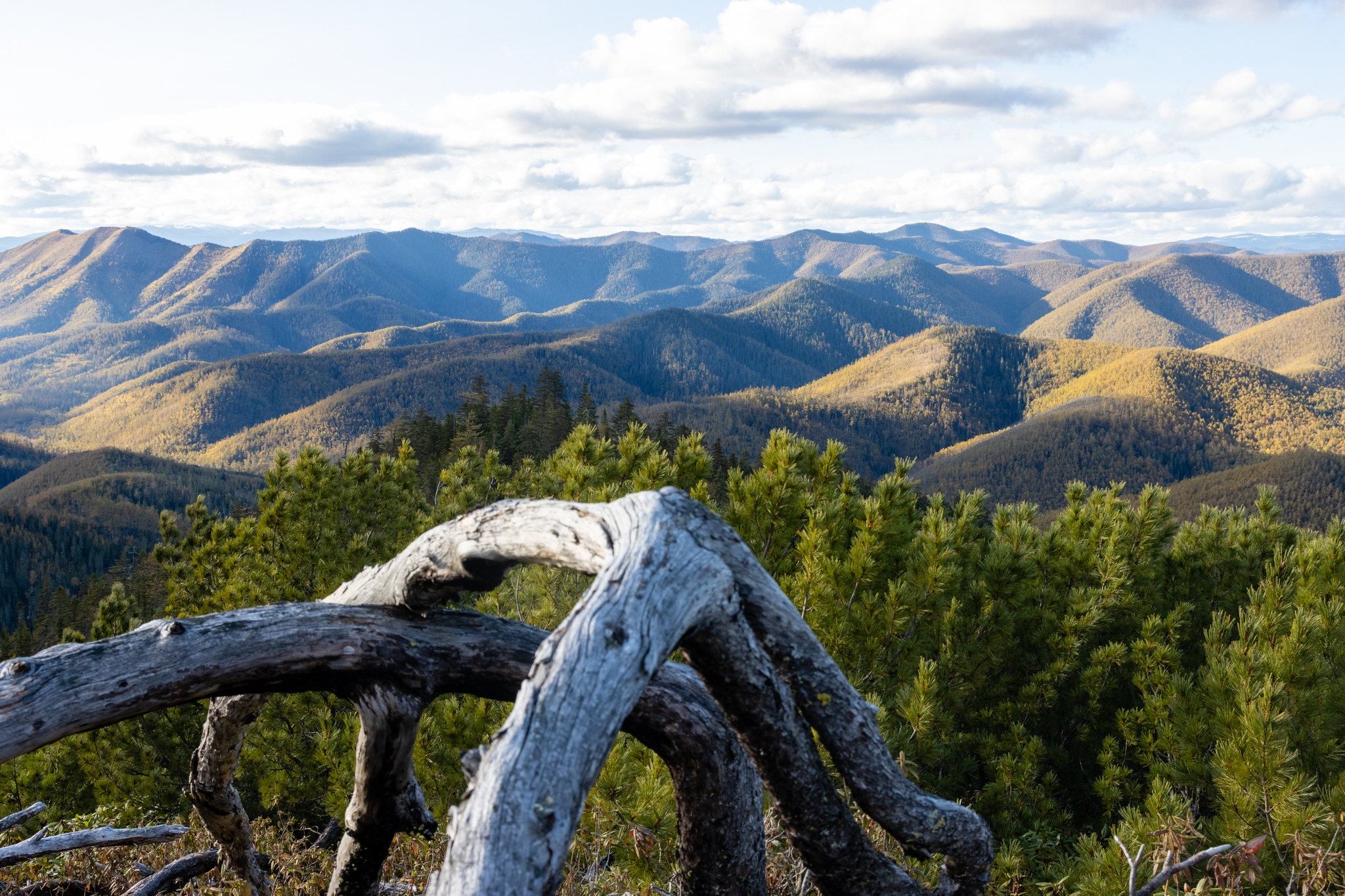 Mount Taunga - My, Дальний Восток, Nature, Landscape, Mountain tourism, The photo, Beautiful view, Khabarovsk, Khabarovsk region, Longpost