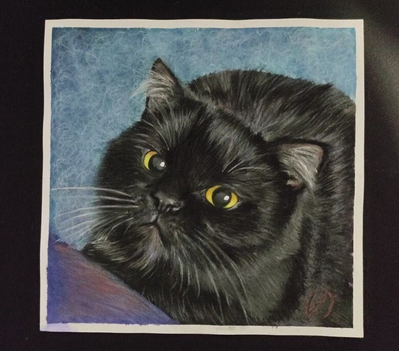 Cat Portrait #23 Target Captured - My, Beginner artist, Drawing, Painting, cat, Black cat, Animalistics, Portrait by photo, Watercolor, Gouache, Pastel pencils, Question, Traditional art, Ask Peekaboo, Video, Longpost